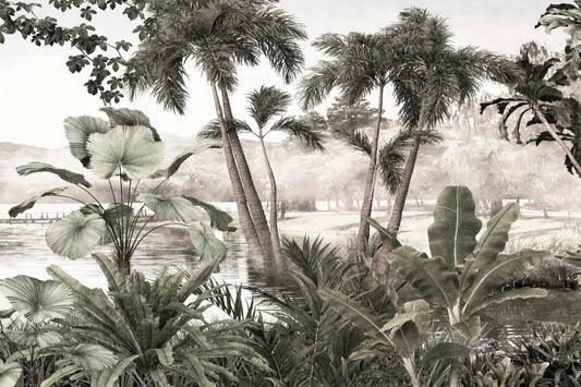 The beauty of the rainforest