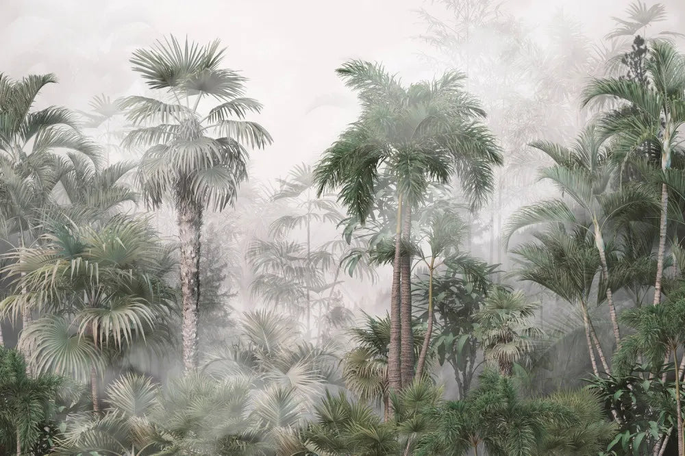 Mysterious tropics