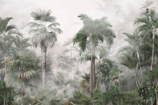Mysterious tropics