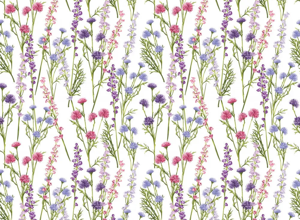 Spring meadow flowers
