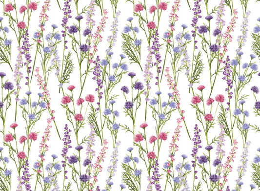 Spring meadow flowers