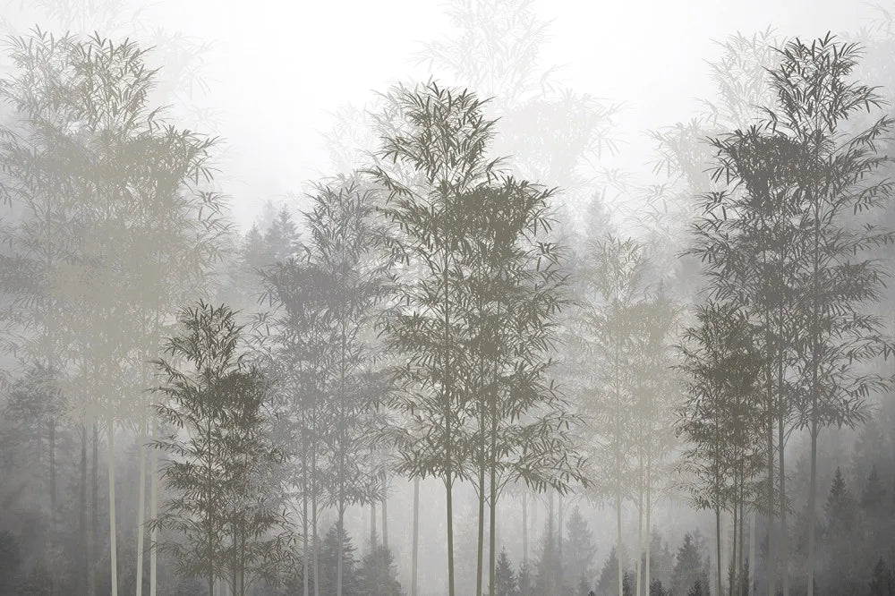Misty bamboo forest