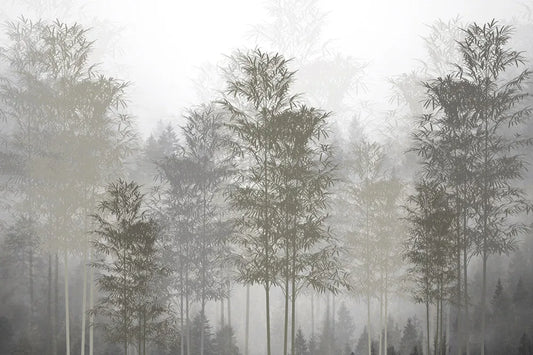 Misty bamboo forest
