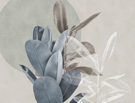 Ficus