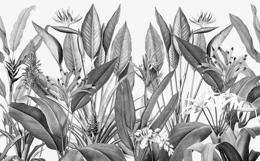 Tropical jungle plants