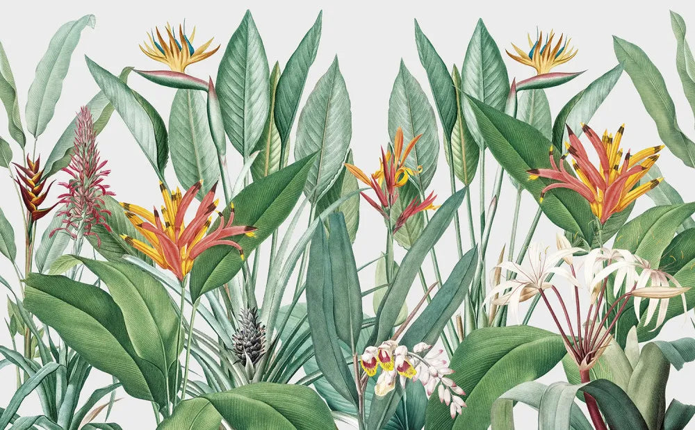 Bright tropical plants