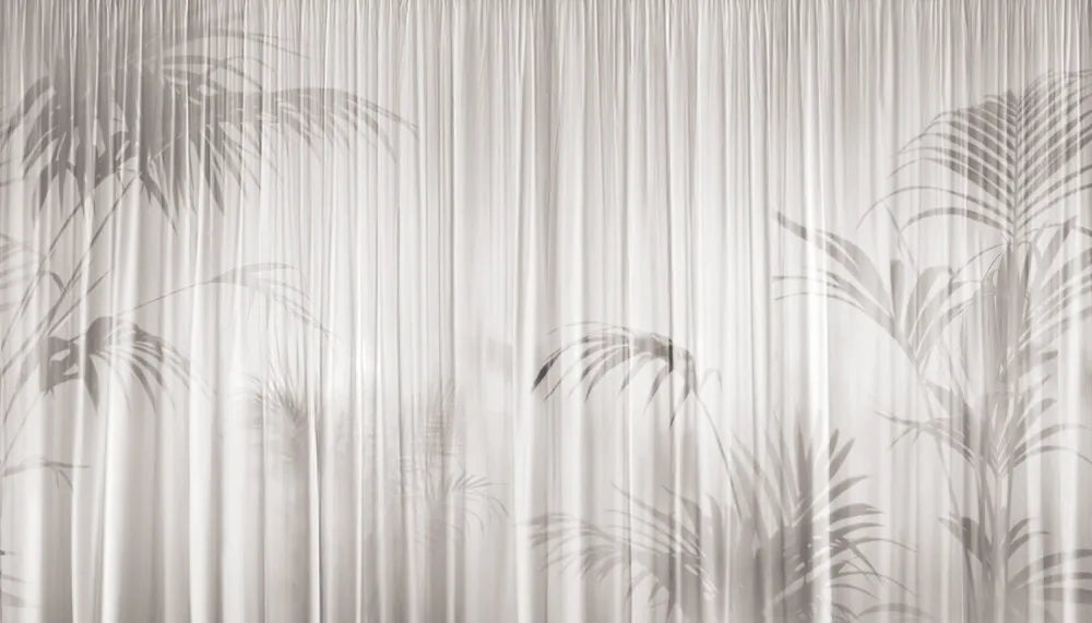 Tropical leaf shadow