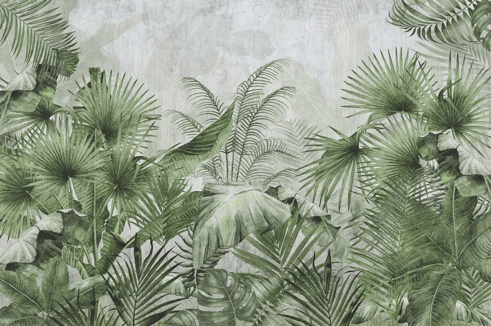 Olive tropical leaves