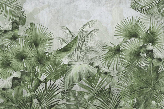 Olive tropical leaves