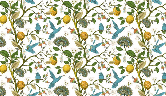 Birds in the lemon garden