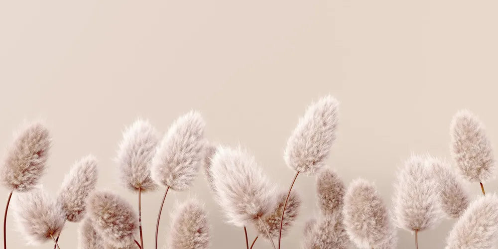 Delicate dried flowers 3D