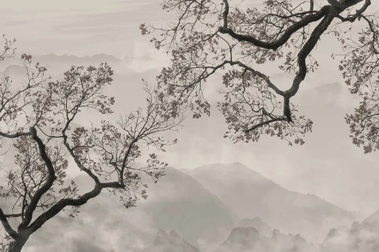 Trees in the misty mountains