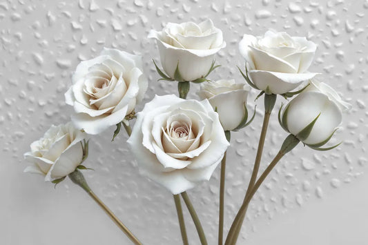 Light roses 3D