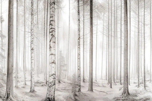 Beautiful forest, drawing