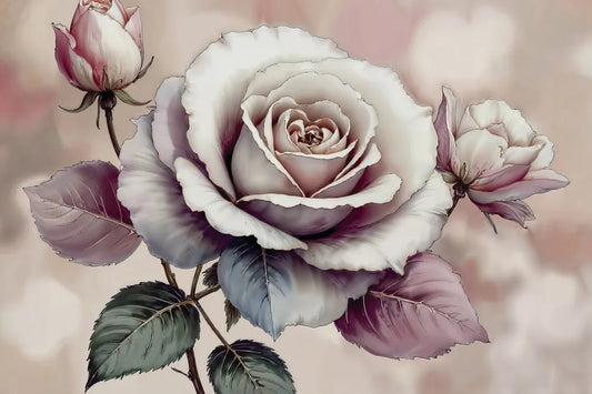 Rose blossom, watercolor