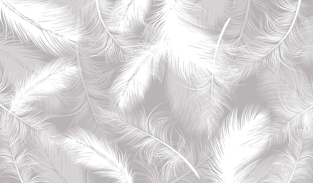 White fluffy feathers