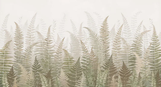 Morning fern