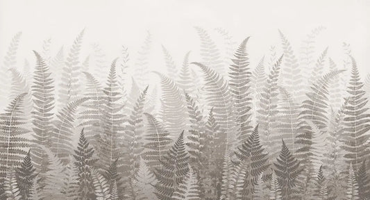 Fern in the fog