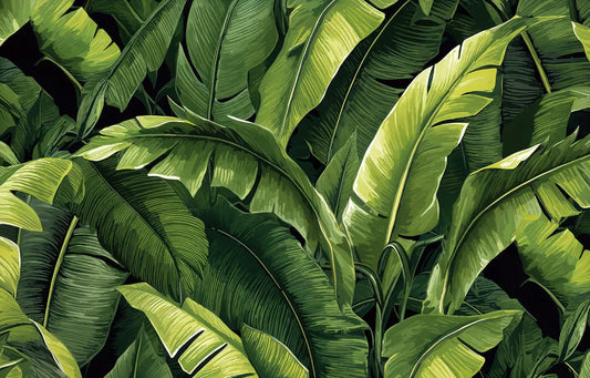 Bright banana leaves