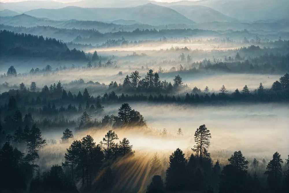 Magic dawn