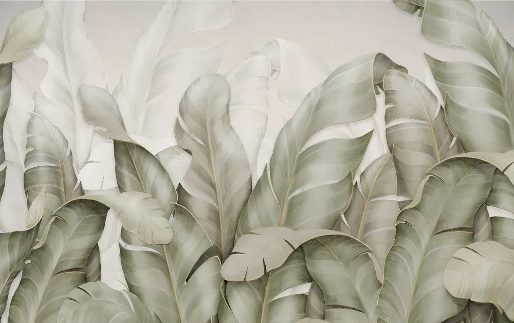 Beautiful leaves of the banana
