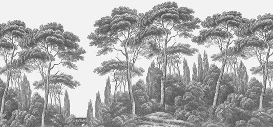 Cypresses, panorama