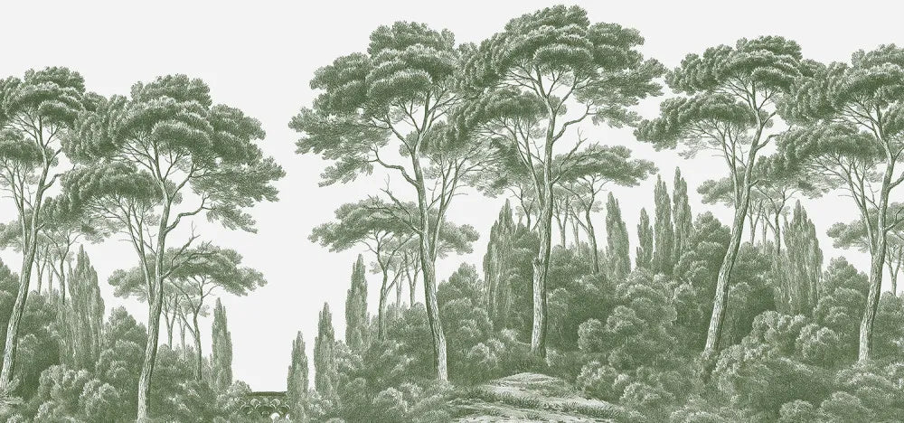 Green cypresses