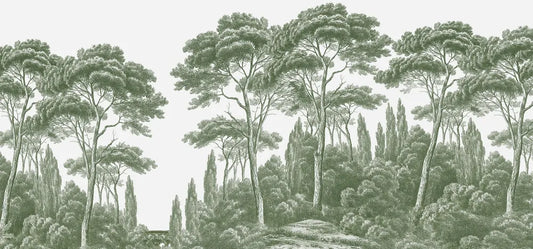 Green cypresses