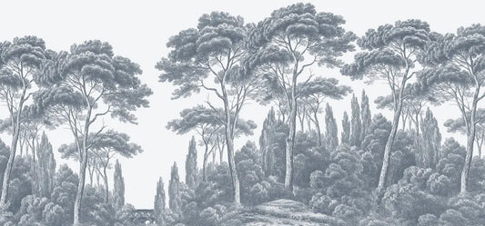 Cypresses