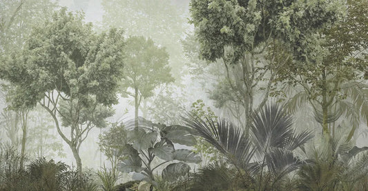 Beautiful foggy forest