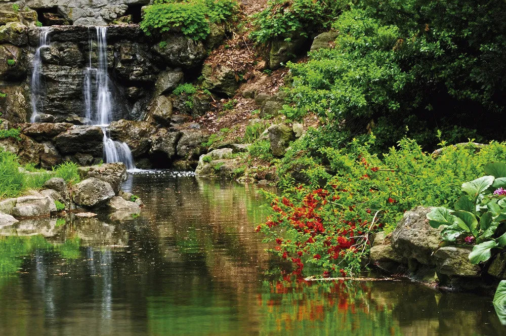Mountain lake