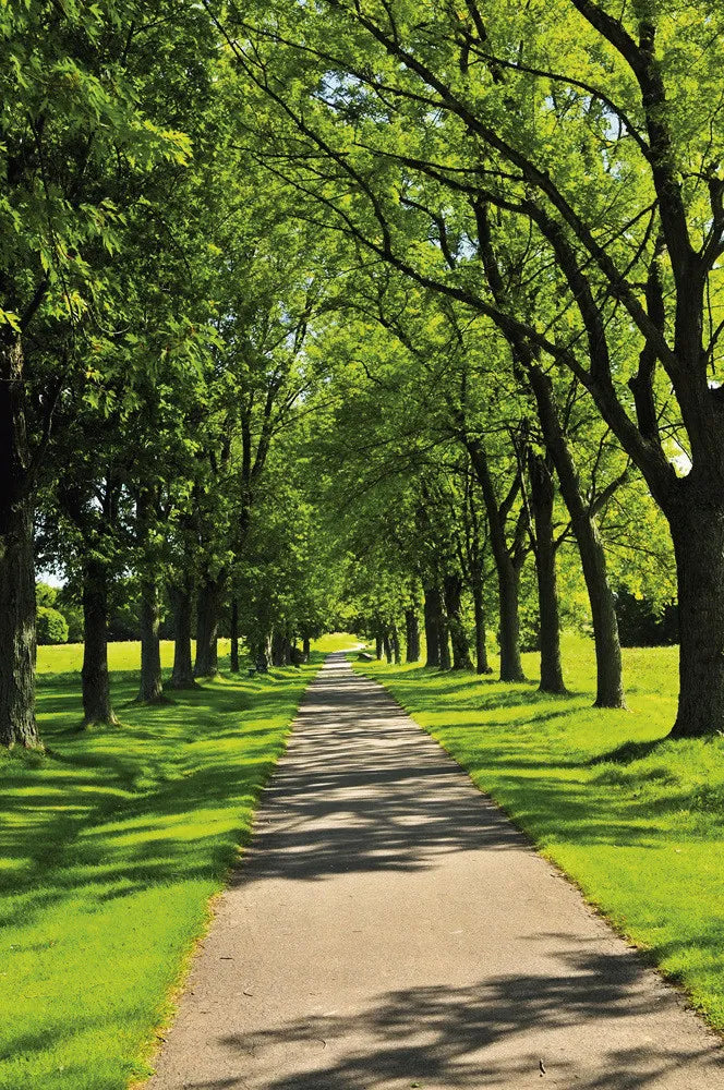 Park