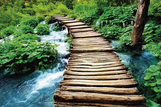 Bridge