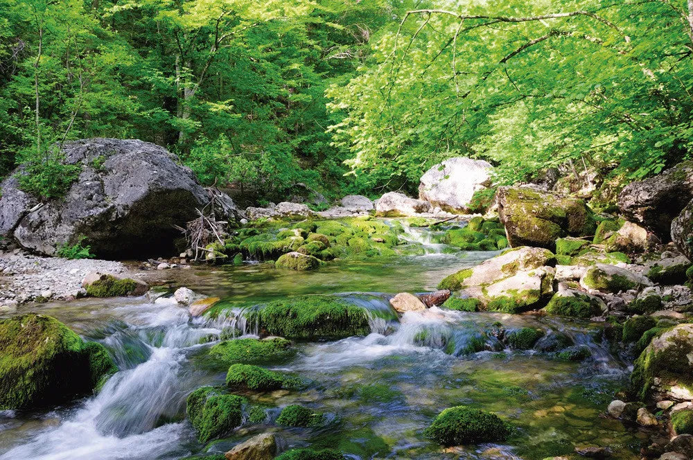 Mountain river