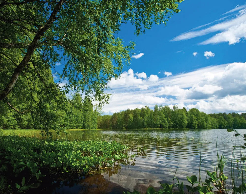 Lake