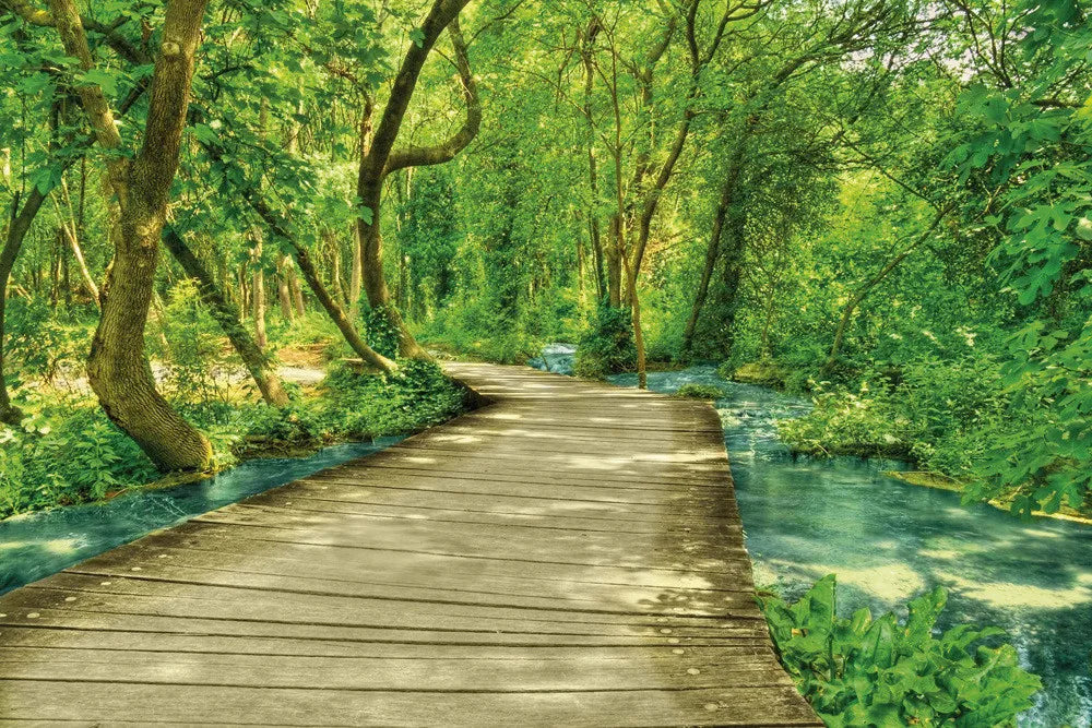 Bridge