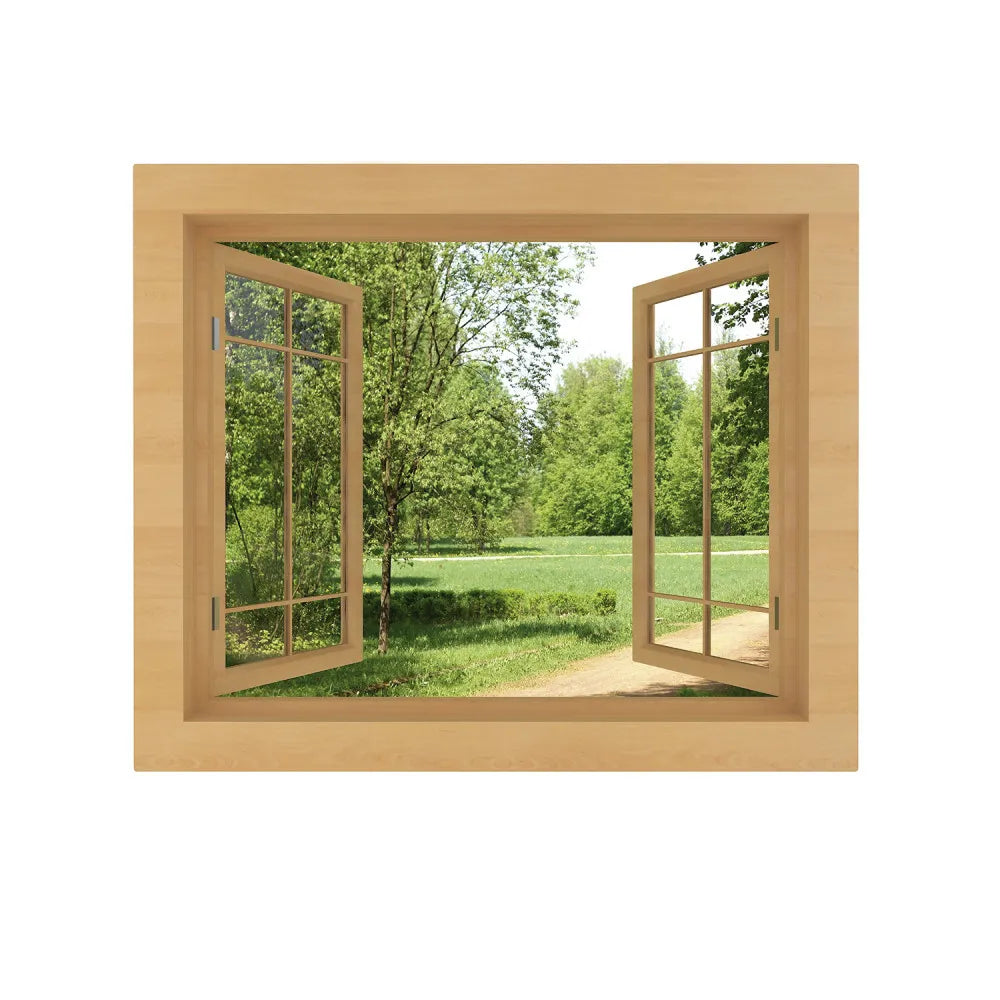 Window
