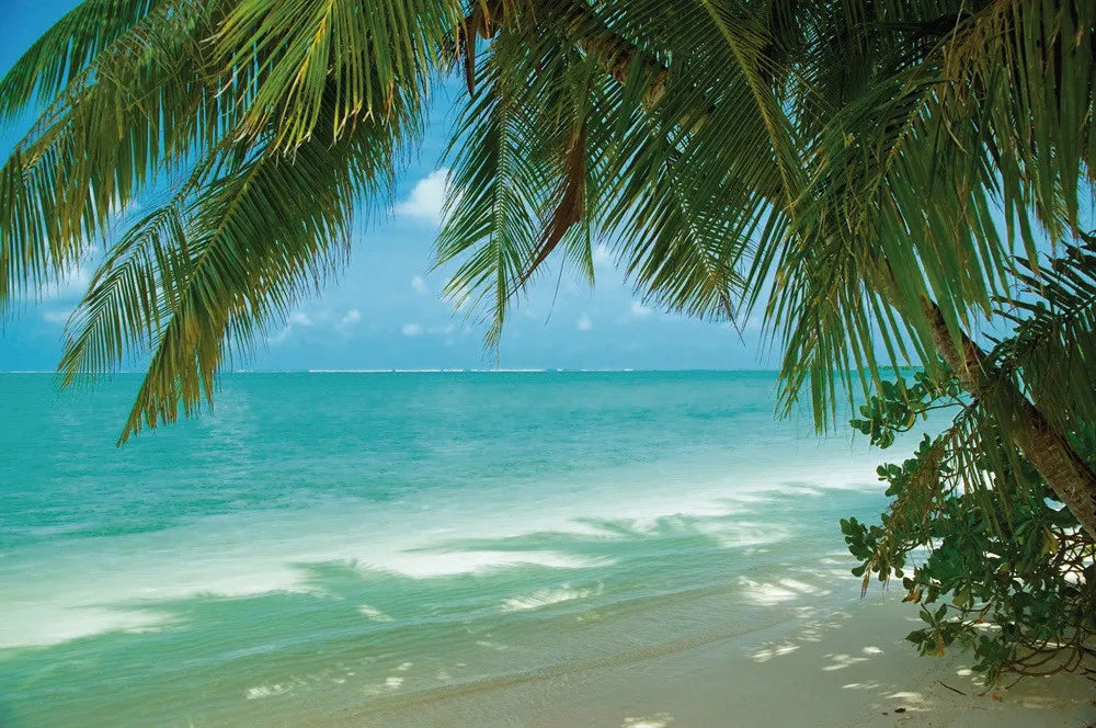 Beach in Maldives