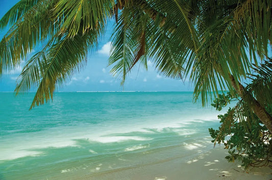 Beach in Maldives
