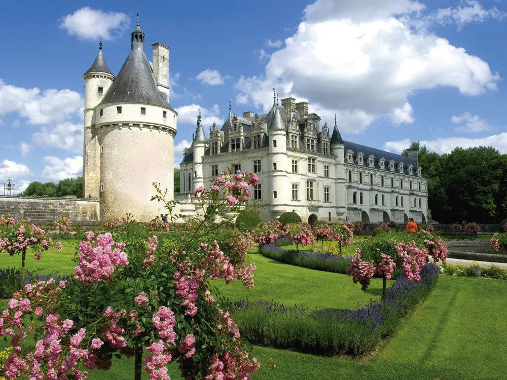 Castle in France