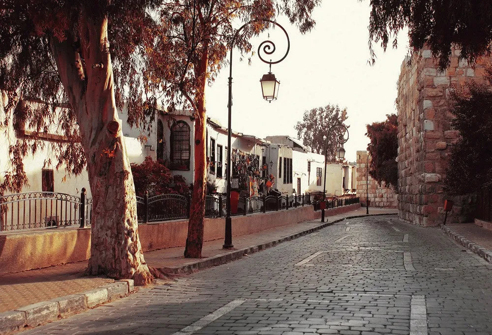 Street