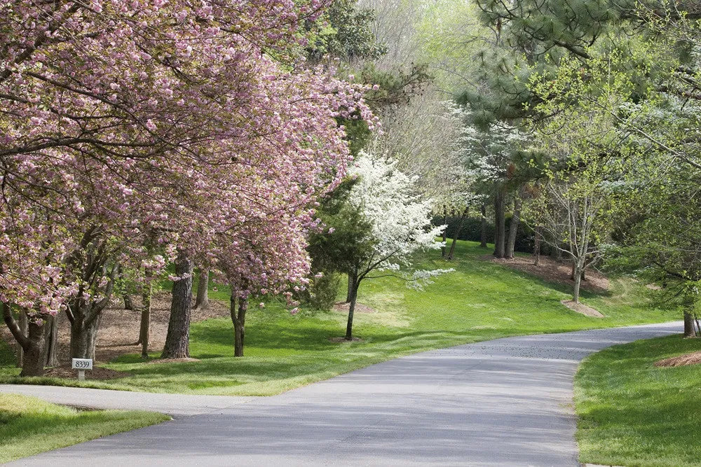 Park