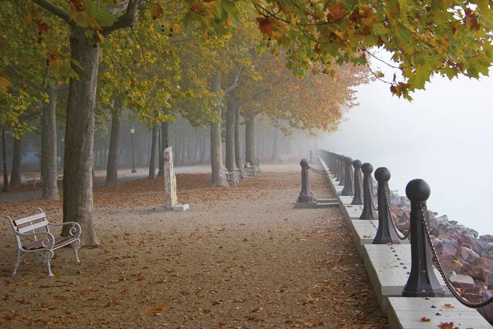 Park