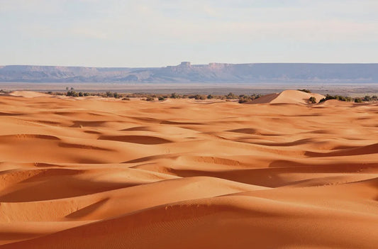 Desert