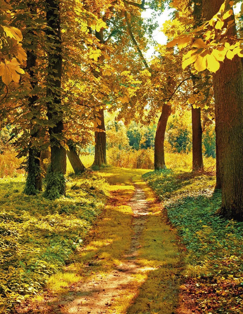 Autumn park