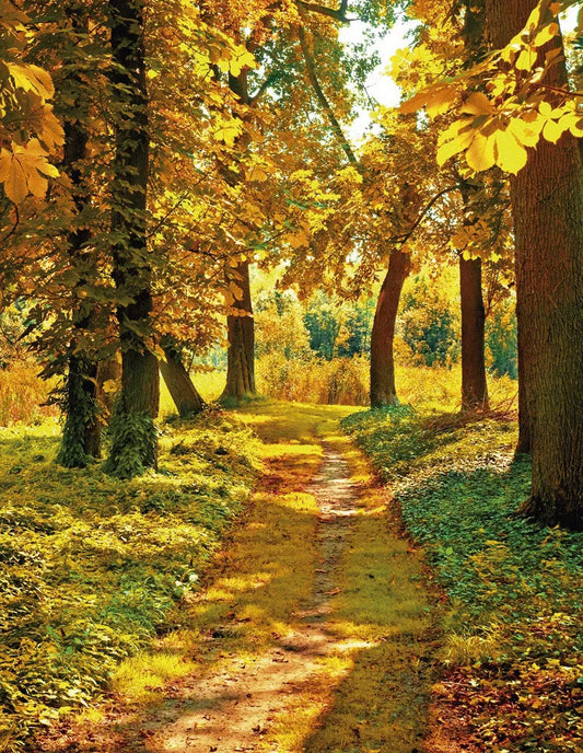 Autumn park