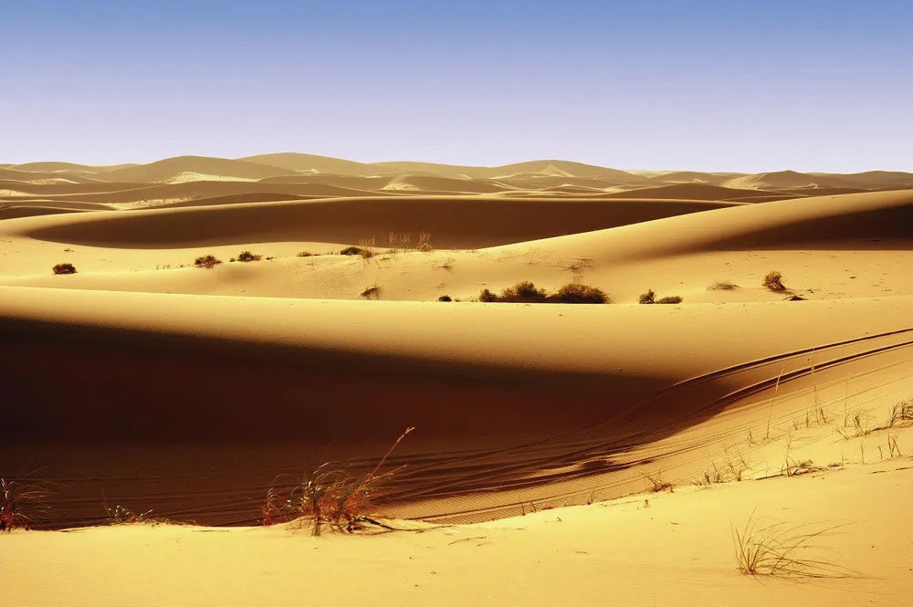 Desert