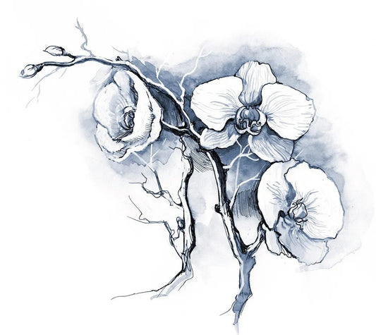 Orchid