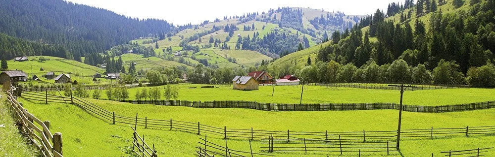 Landscape