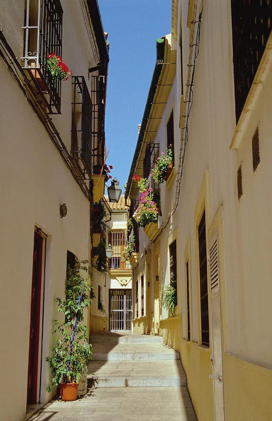 Street in Spane
